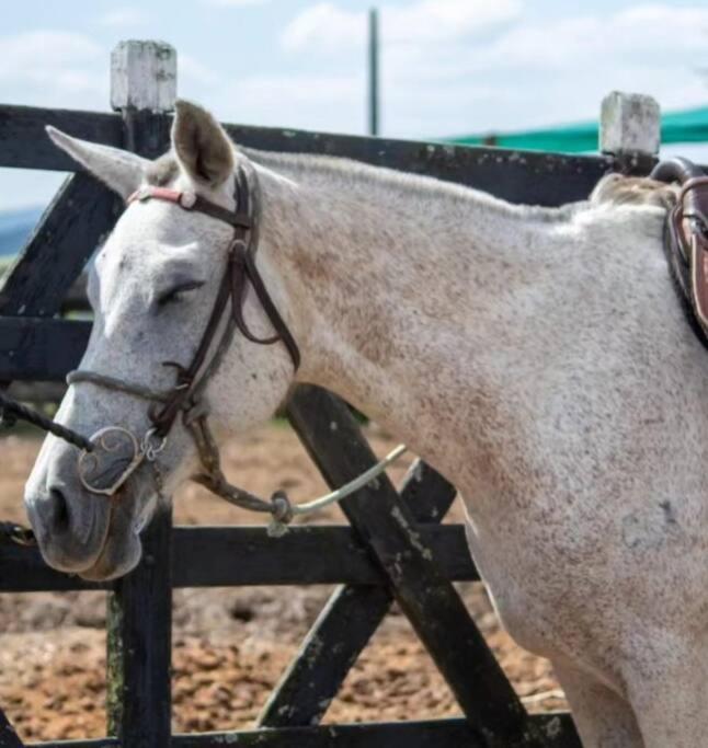 Appartamento Flat Fazenda Monte Castelo Bezerros Esterno foto
